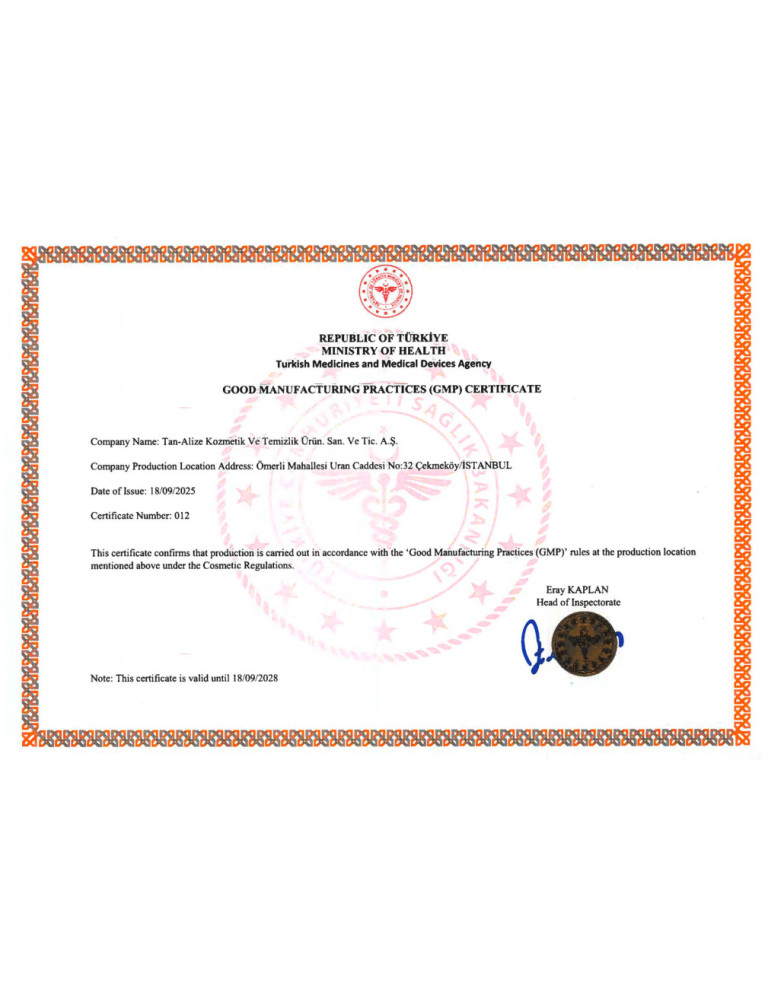 2025 SAĞLIK BAKANLIĞI GMP-ENG (1)-1