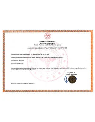 2025 SAĞLIK BAKANLIĞI GMP-ENG (1)-1